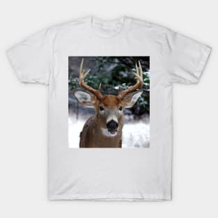 Play with me? White-tailed buck T-Shirt